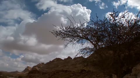 Satu-Satunya Syarat Mutlak Menjadi Harta Kesayangan Tuhan (Keluaran 19)