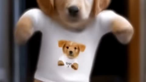 PuppyPuppyPuppy Dance! The Cutest Puppy