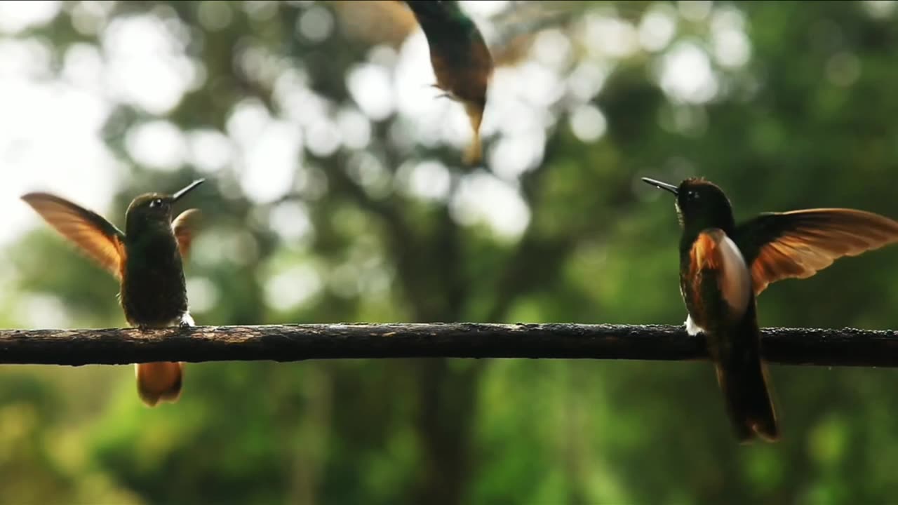 Nature