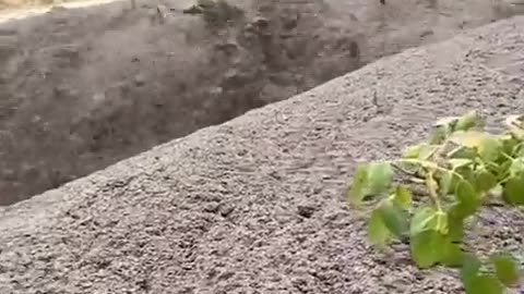 🚗🌊 Man vs. Flood: Will He Save His Truck? Watch the Chaos! | FunFM
