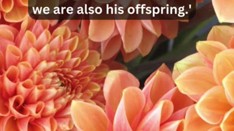 Journey of faith and spiritual growth Acts 17:28 Daily Bible Verse