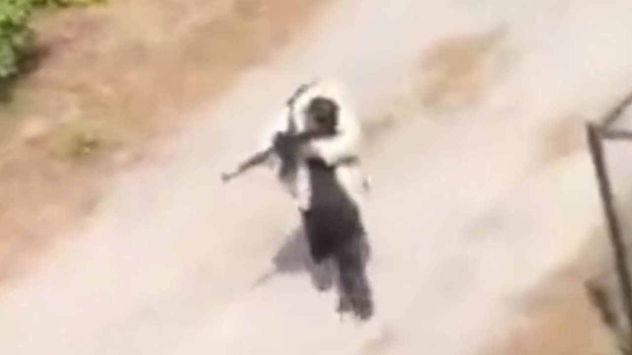 🇺🇸 Lowell, Massachusetts: Police are on high alert after reports of a possible active shooter.