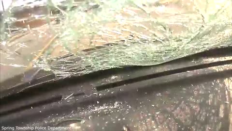 I Found a Weird Sea Creature - Daily Does of The Internet