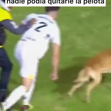 Tuvieron que hacerle falta para pararlo