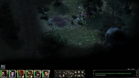 Looking for a haunted ruin | Pillars of Eternity | pt 7