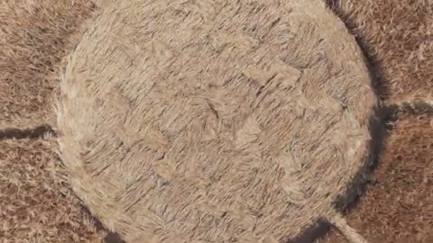 Crop Circle