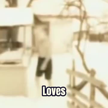 We Are The New Humanity. Love The World. Change It. PORFIRY IVANOV