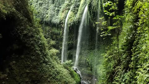 🌳 Tranquil Amazon Rainforest in 4K | Soothing Nature Sounds & Scenic Beauty 🦜🌊