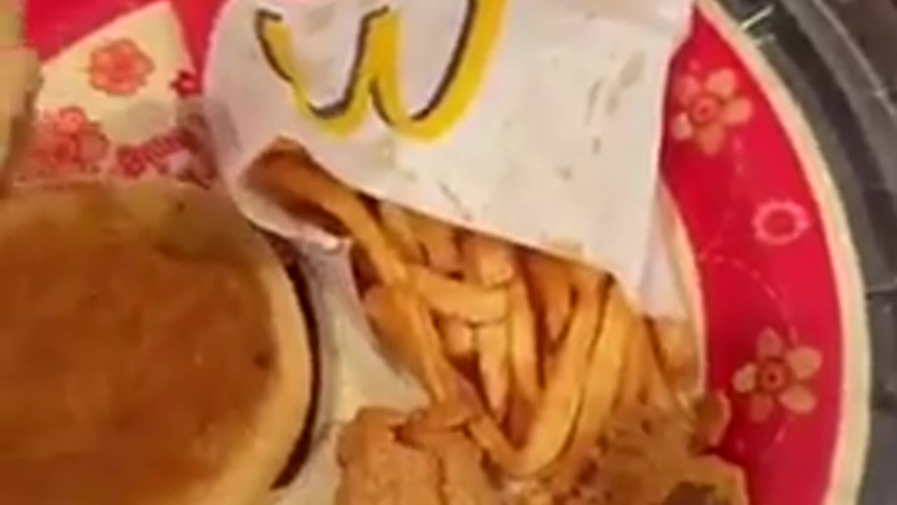 ⚠️ McDONALD'S FOOD AFTER 17 YRS.. HMMM