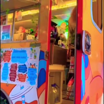 average fizzy fox visit ⧸silly