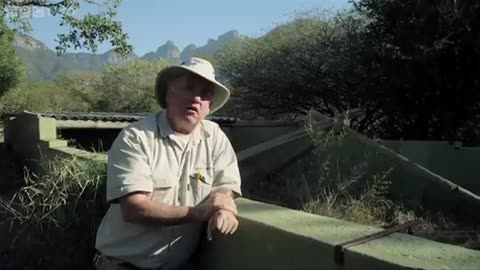 Stoffel, the honey badger that can escape from anywhere! - BBC