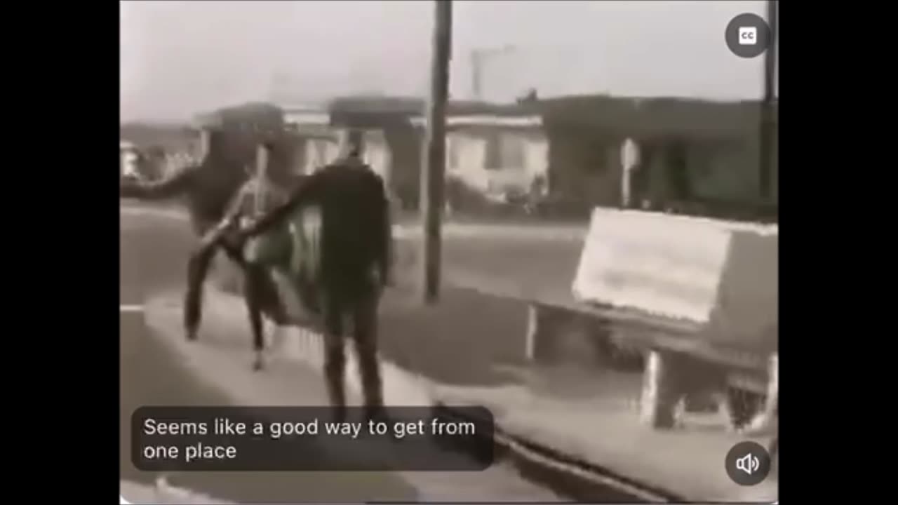 Boys Beware (1961)