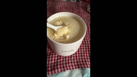 Domácí jogurt s nejdůležitějším probiotikem na světě L reuteri