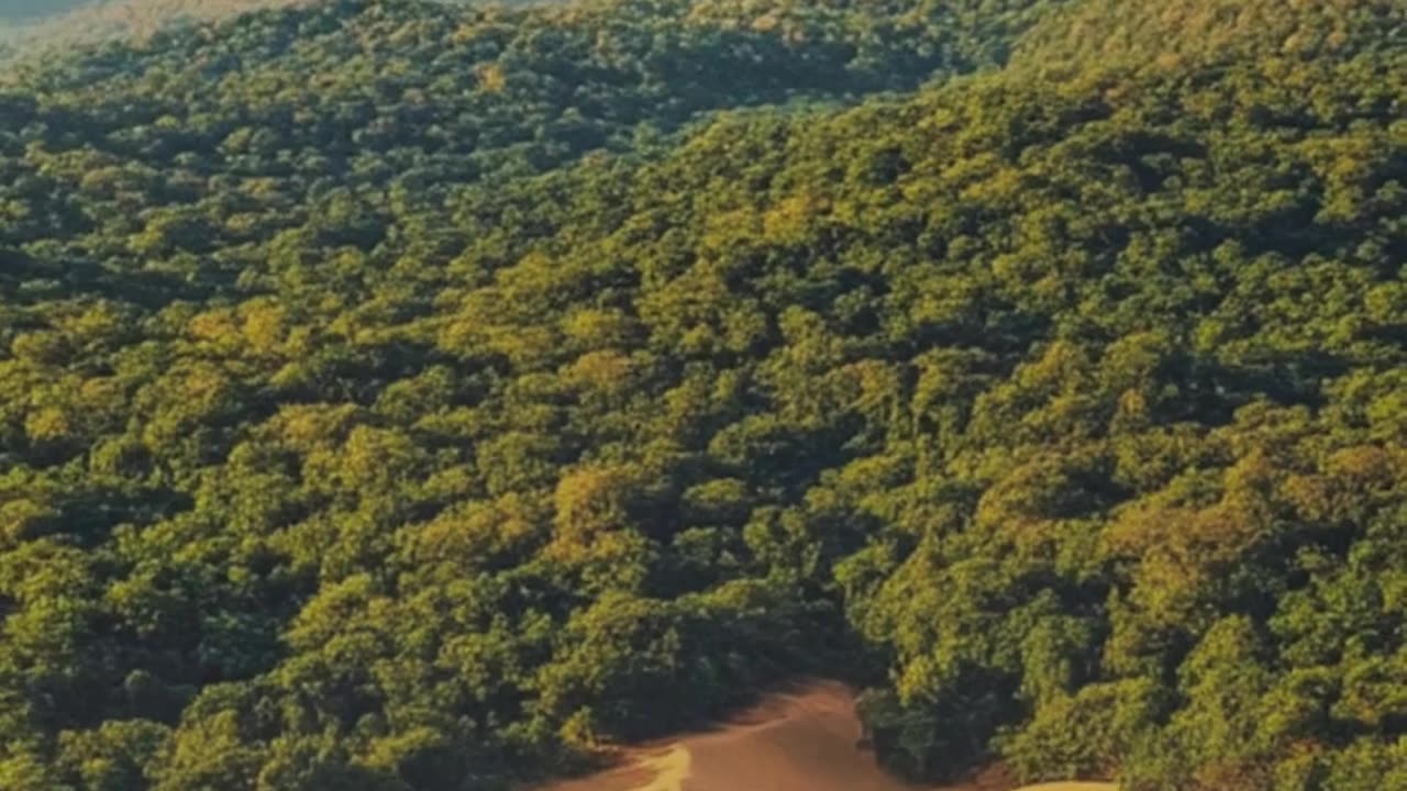 The Mysterious Sand-Covered Town of Talakad 🌵🏰