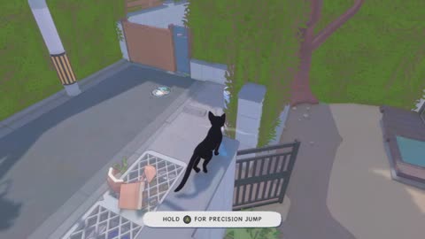 Little Kitty Big City Part 1