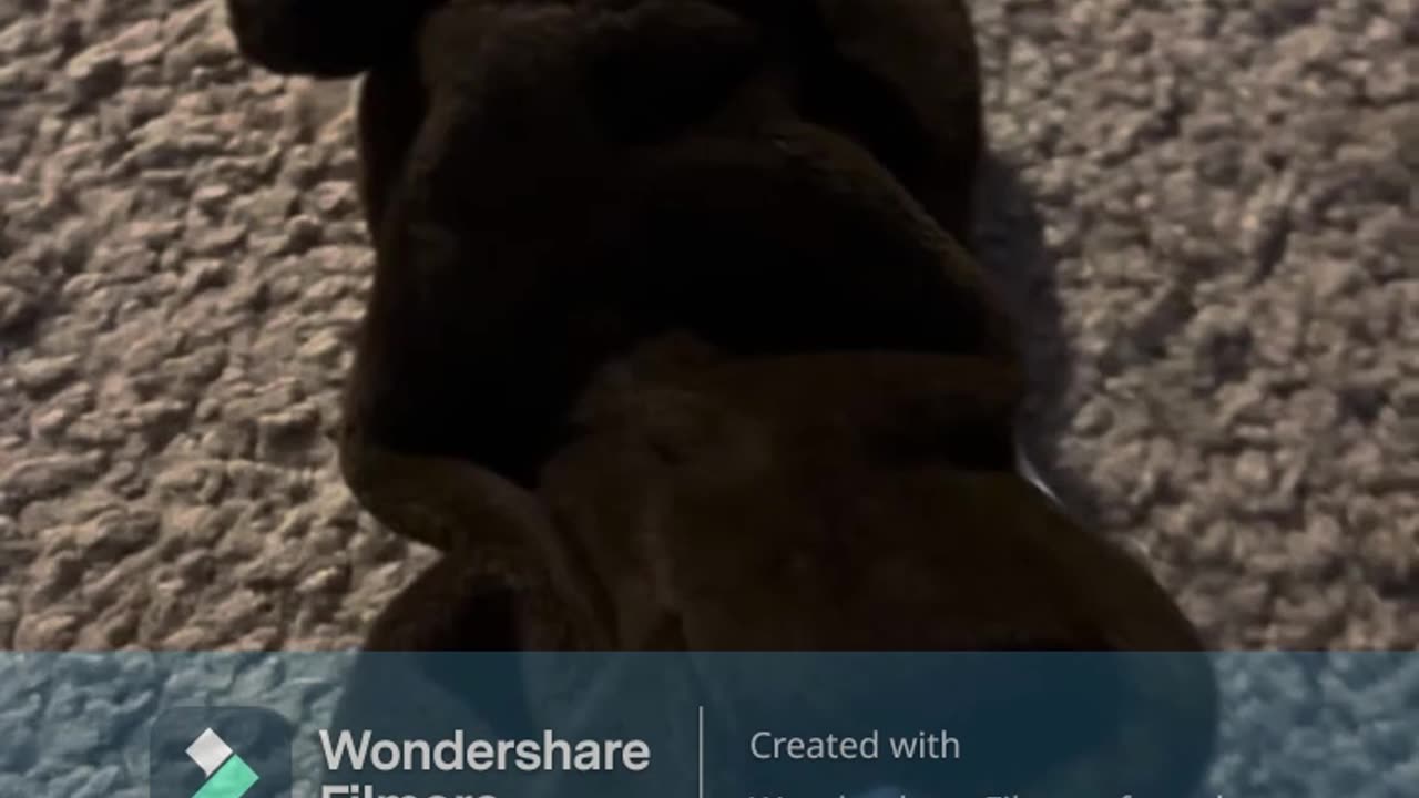 Check these items out on these platforms