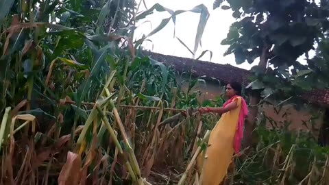 Village Girl Daily Routine | A Day in My Indian Village | Rural Life Vlogging