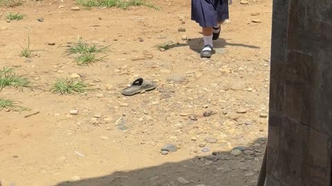 Enthusiastic Golden Retriever Hugs Too Hard