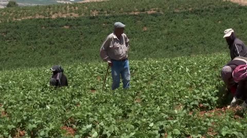 Lebanon's worst drought on record drains largest reservoir
