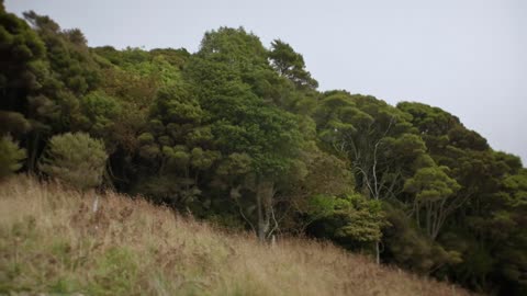 Grand Designs New Zealand S09E05