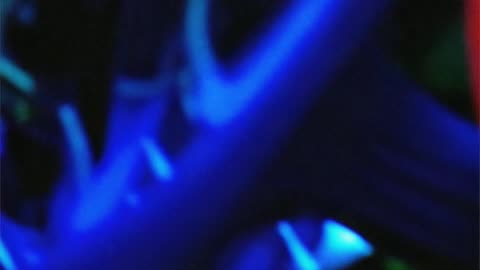 WAV - Foresee Slow Winter