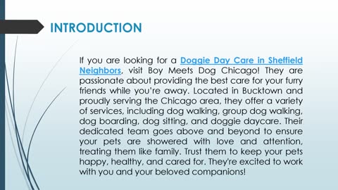 If you are looking for a Doggie Day Care in Sheffield Neighbors