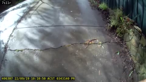Video 3 - SAPOL, RAH and SA Ambulance tyranny.