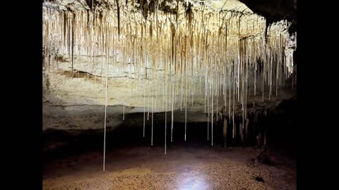 Stunning Naracoorte Caves
