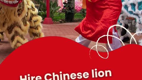 Best Chinese Lion Dance for Events| Authentic Lion Dance Performances