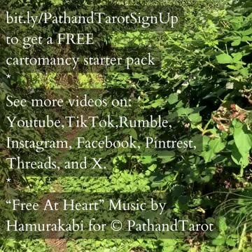 Spark Of Transformation | Path and Tarot Reading