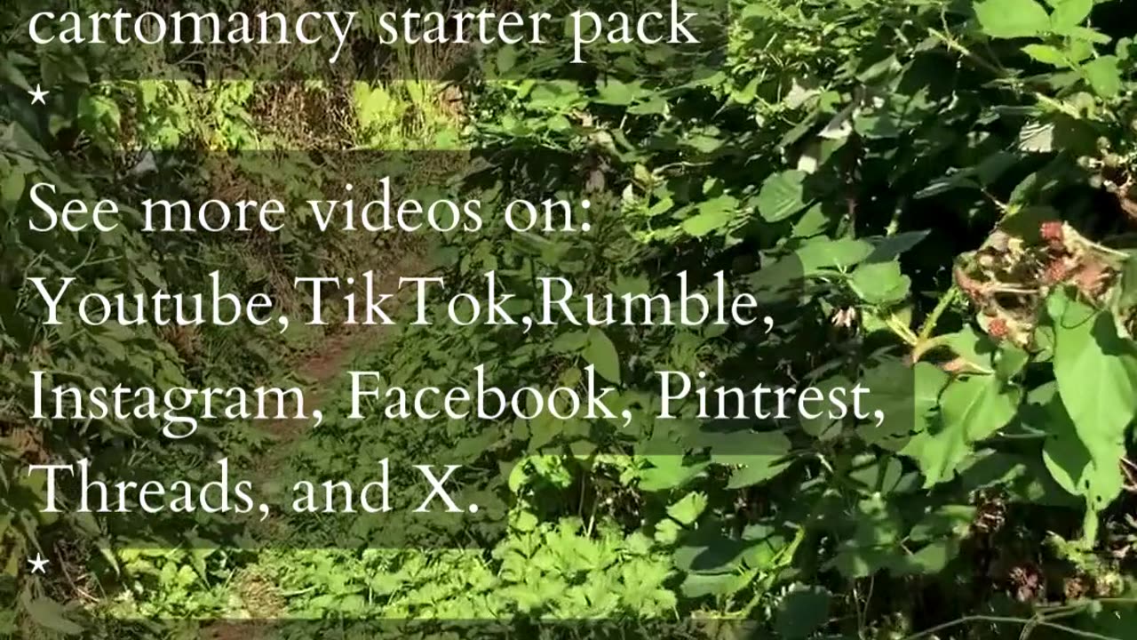 Spark Of Transformation | Path and Tarot Reading