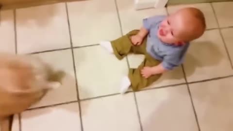 Cutest and funny baby kids with animals video