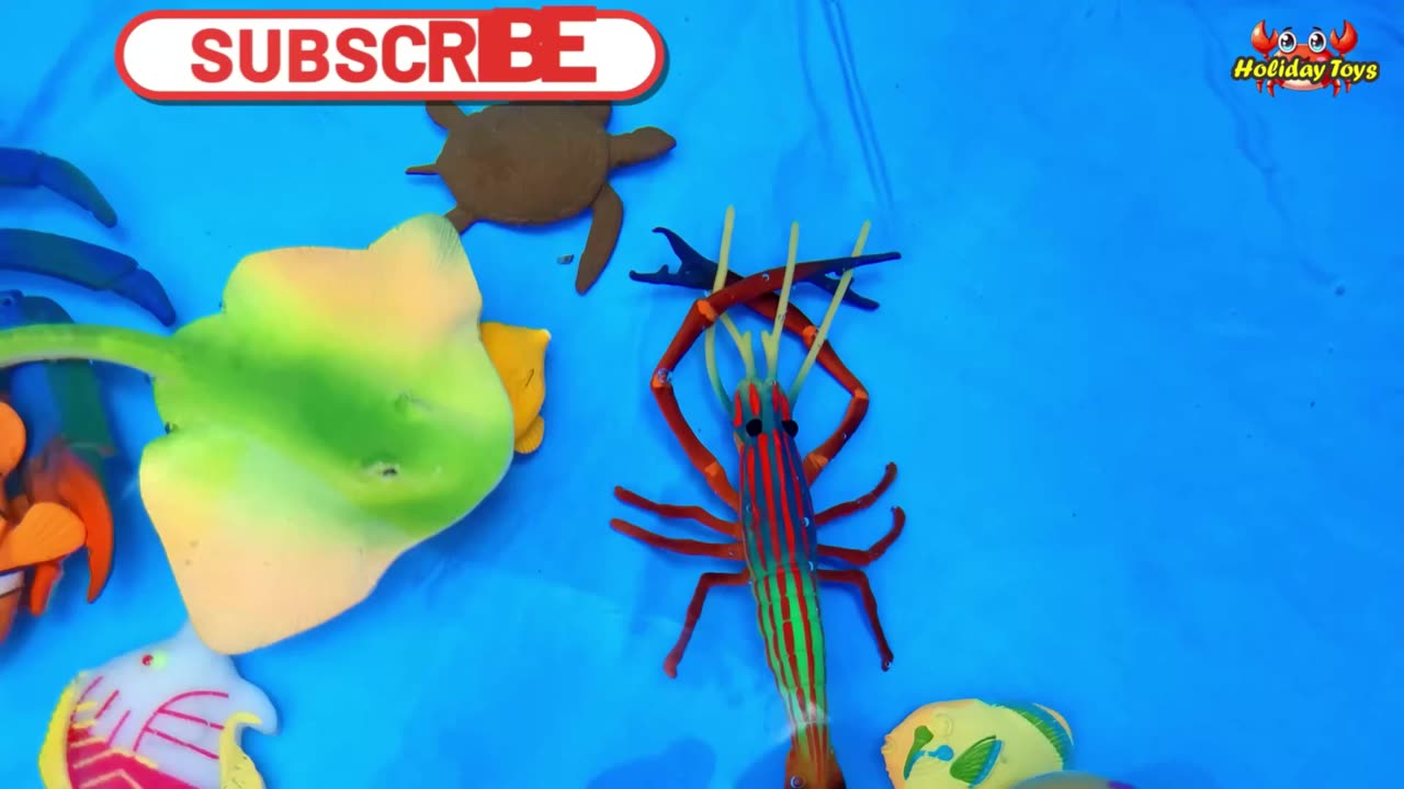 Walruses Take a Nap on Piece of Ice to Rest