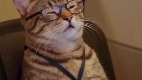 Internal engineer monologue at work