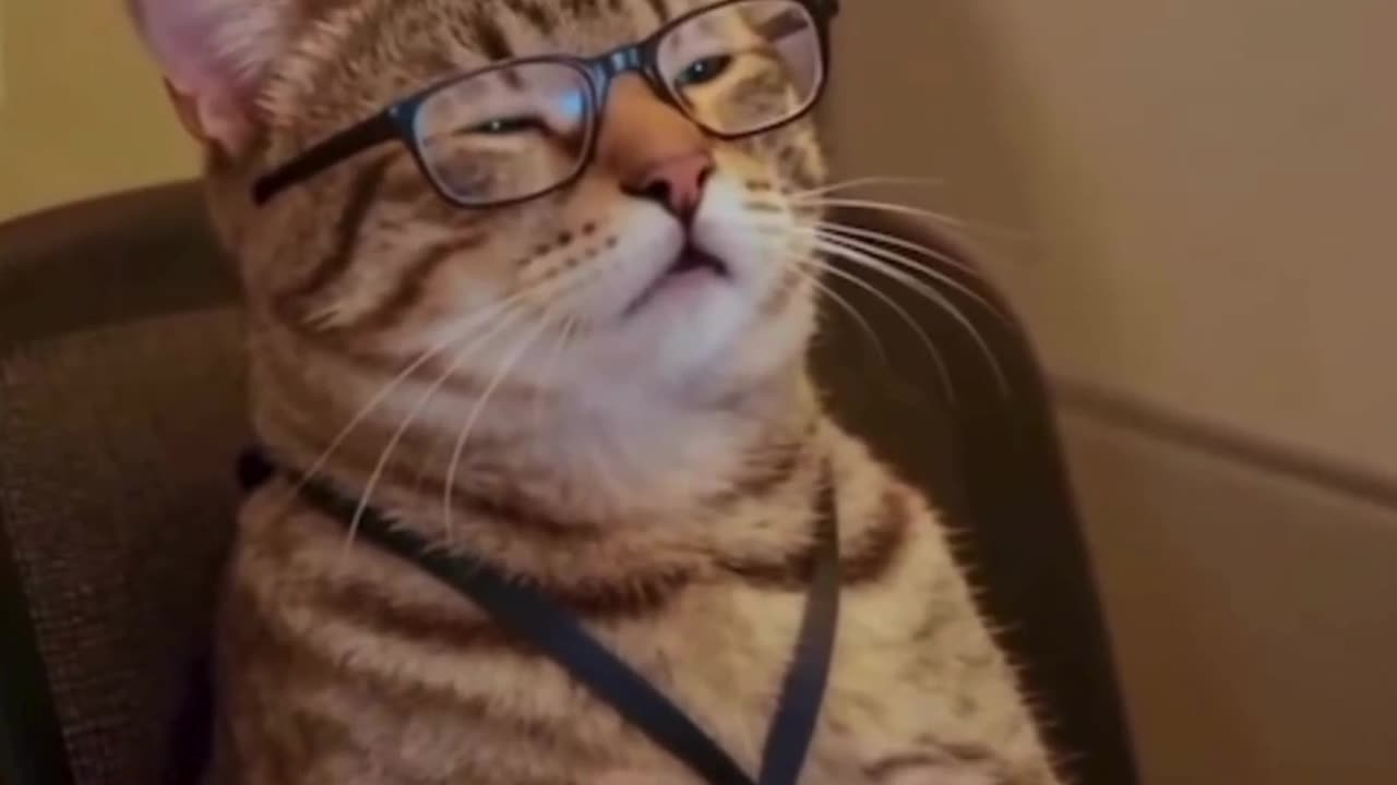 Internal engineer monologue at work