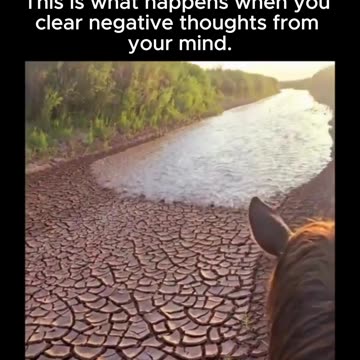 Negative thoughts create mental roadblocks.