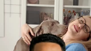 Furry Nation: The Best Tech & Care for Pets 🐶🐱