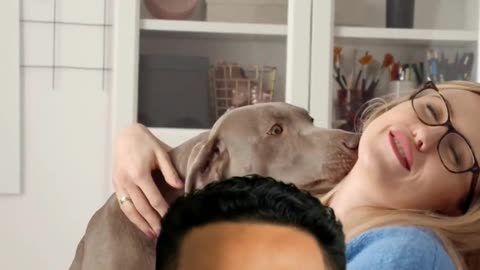 Furry Nation: The Best Tech & Care for Pets 🐶🐱