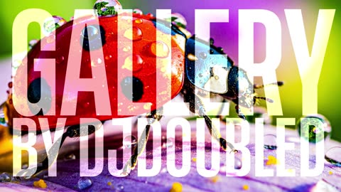 promo MACROart gallery