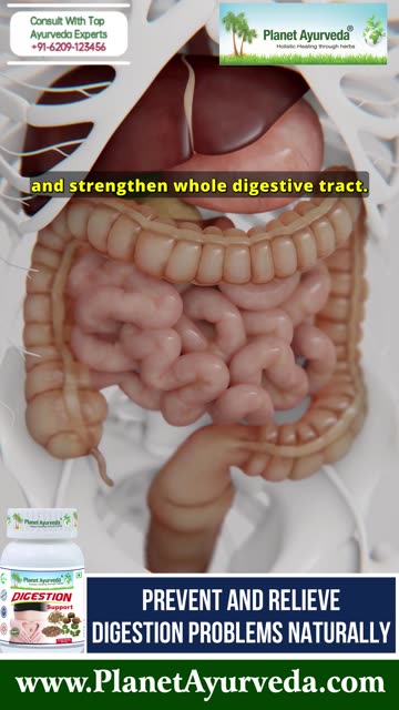 Expert's Guide on Pure Herbal Digestion Support