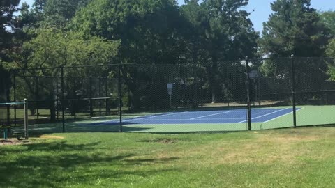 Hot August Days