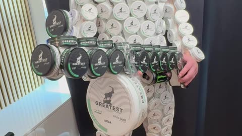 Soldier of Snus War