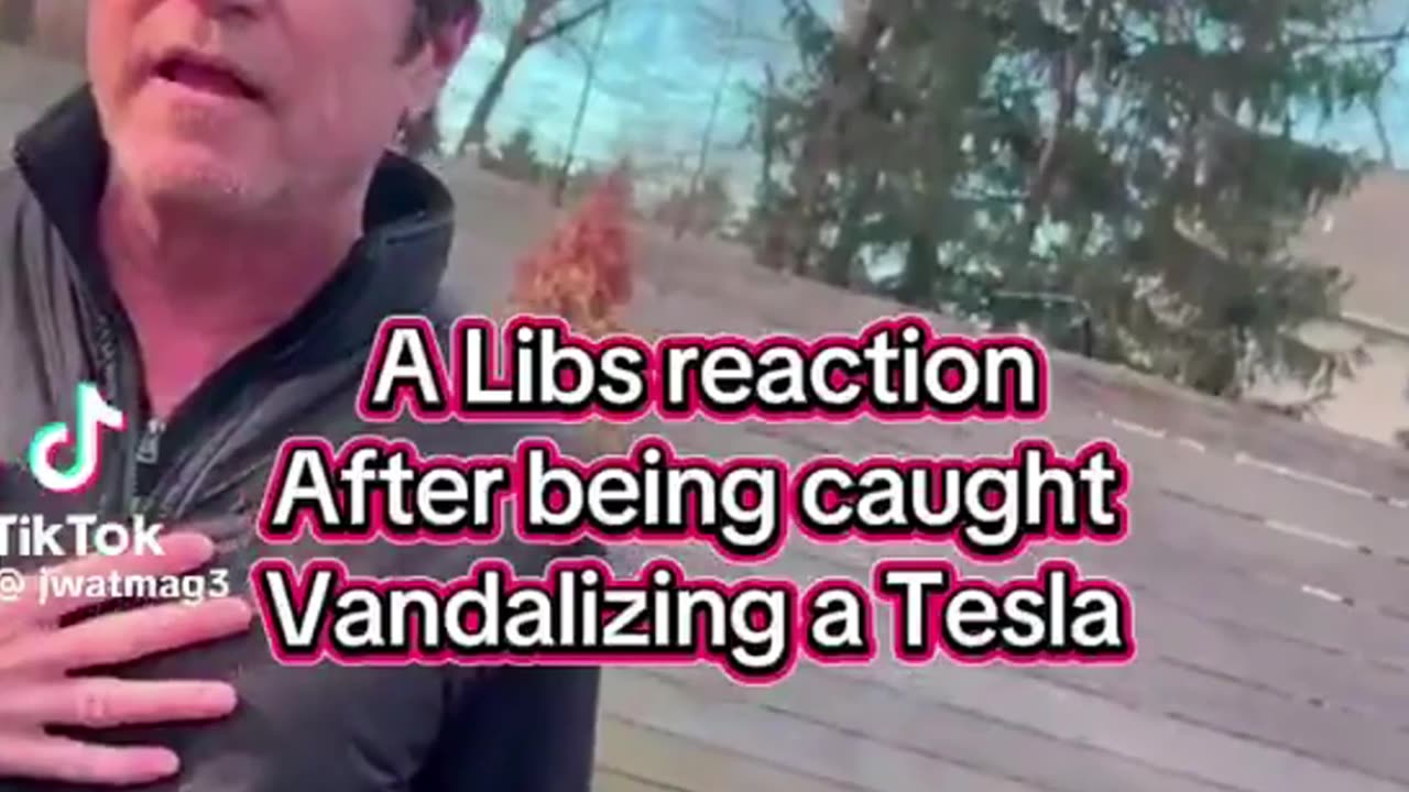 What would you do if you found a lib vandalizing your car? 🤔
