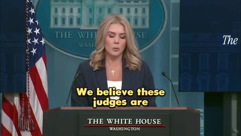 Karoline Leavitt EXPOSES the fake news media for LYING to the American people.