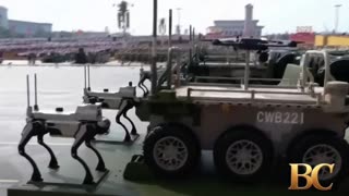 Robot ‘wolves’ among China’s weapons showcased at parade for global notice