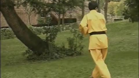 Hankido/Hapkido