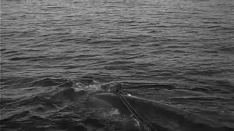 JAPANESE WHALING EXPEDITION IN ANTARCTIC - JAPANESE WHALING EXPEDITION IN ANTARCTIC - 111-adc-7142