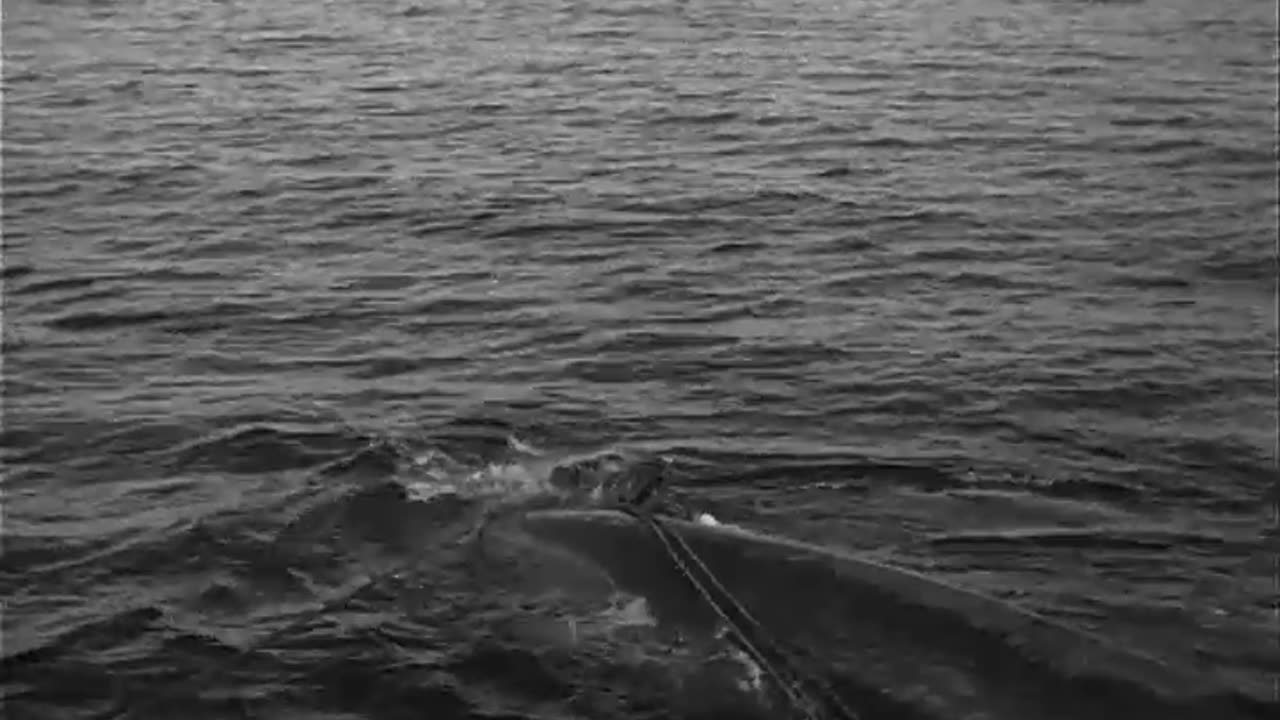 JAPANESE WHALING EXPEDITION IN ANTARCTIC - JAPANESE WHALING EXPEDITION IN ANTARCTIC - 111-adc-7142
