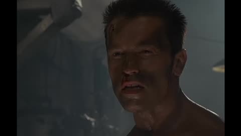 Seagal vs Schwarzenegger