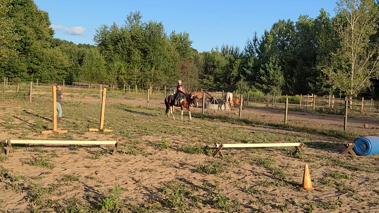 Nice canter on Sky!